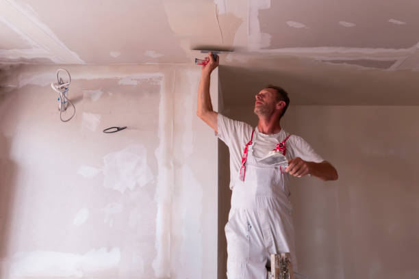 Best Drywall Texturing  in Baraboo, WI